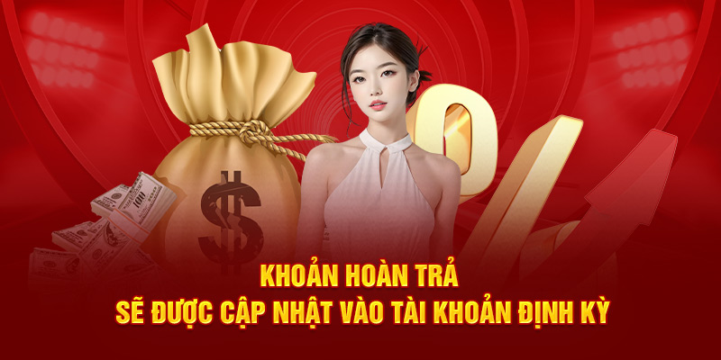 Khoản hoàn trả sẽ được cập nhật vào tài khoản định kỳ